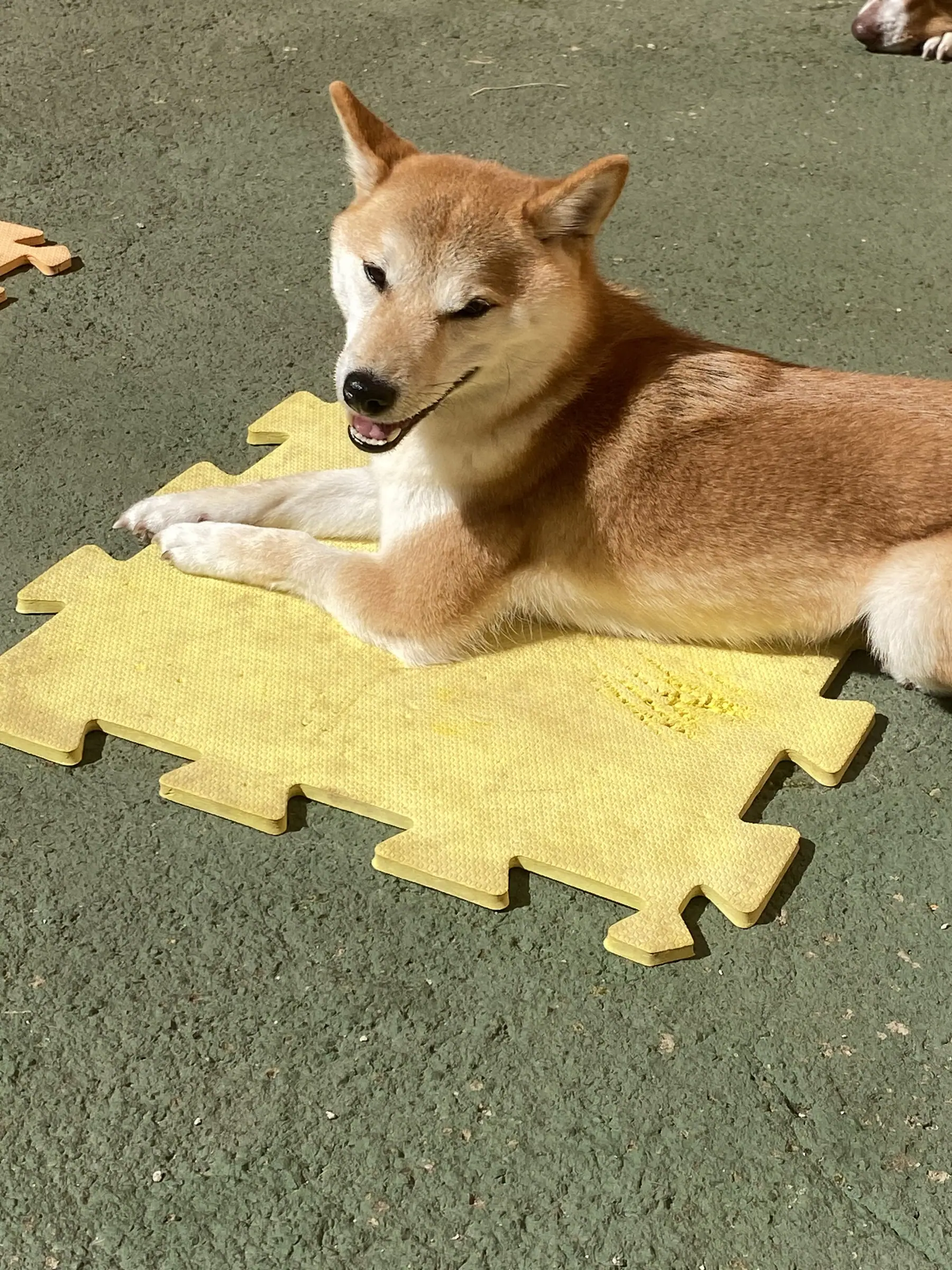 Pausa e água fresca